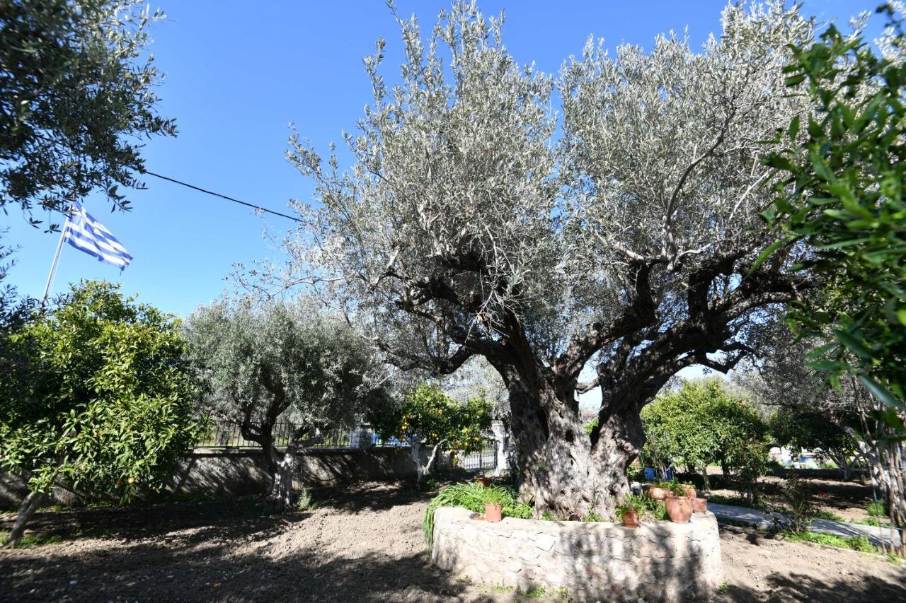 Villa Kavalino Kolymbia Exterior photo
