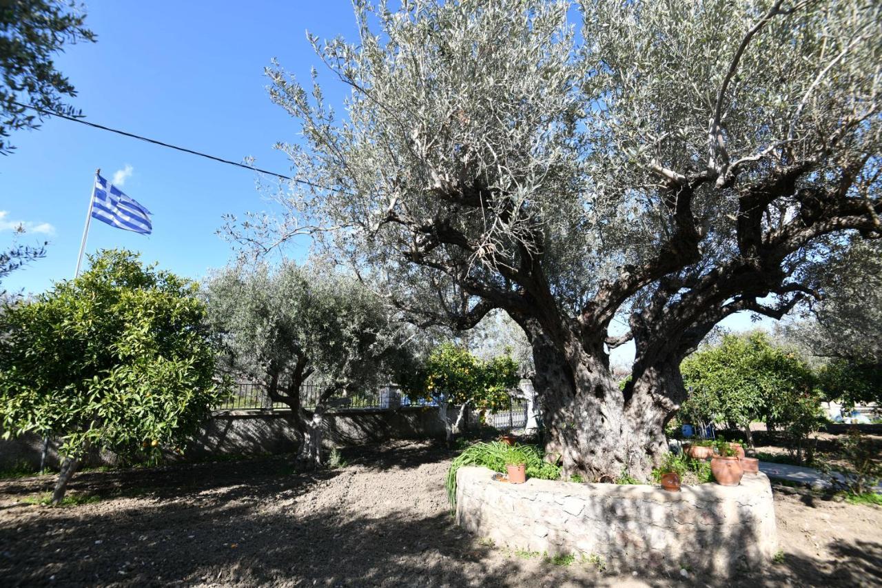 Villa Kavalino Kolymbia Exterior photo